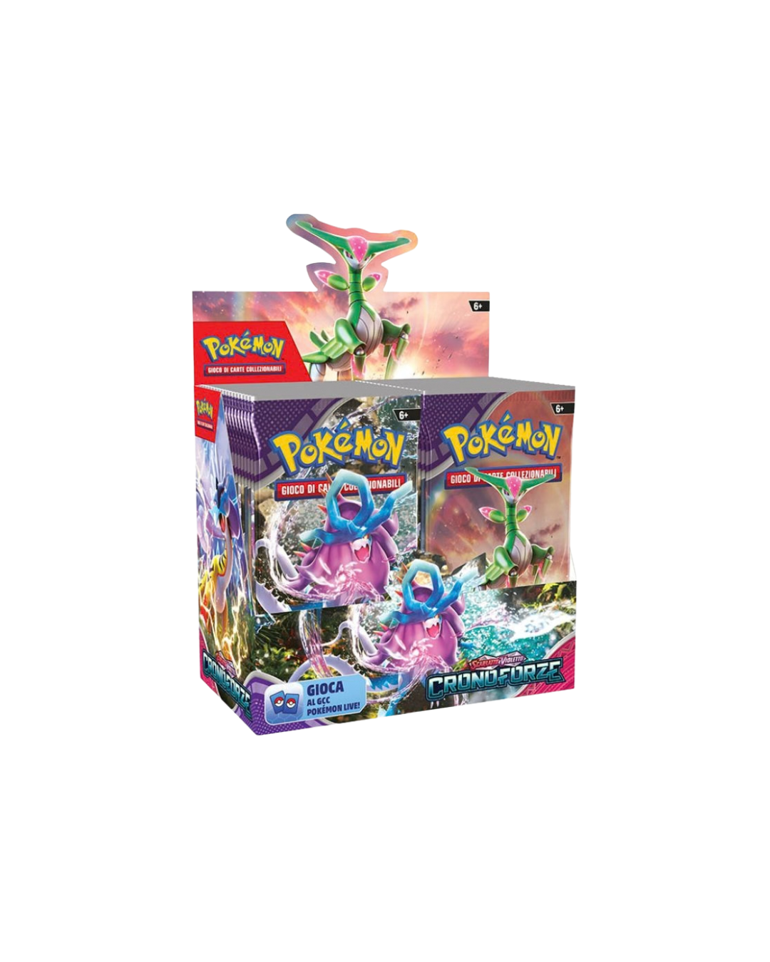 Display 36 buste - Cronoforze ITA